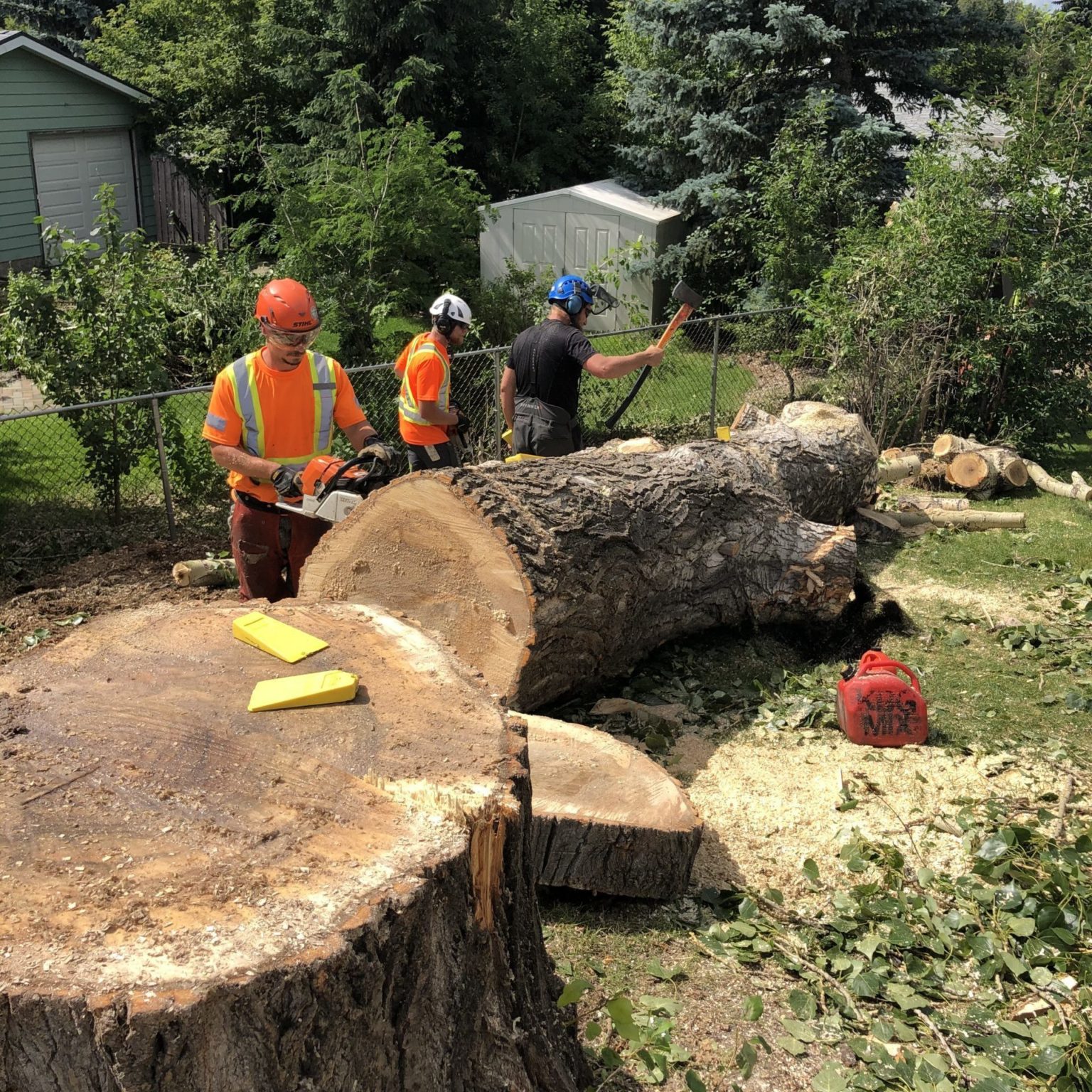 Condo Tree Maintenance